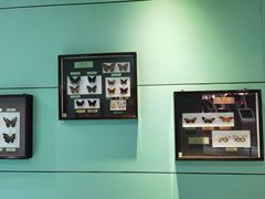 -上海昆虫博物馆