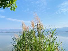 -西昌邛海湿地