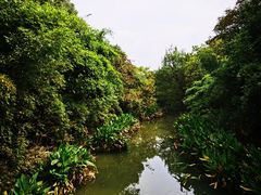 -西溪国家湿地公园