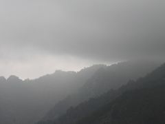 朱雀森林公园-朱雀国家森林公园