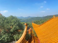 -深圳仙湖植物园