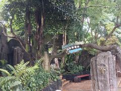 -海口观澜湖火山温泉谷