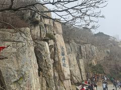 -老山东·山东菜(鲁菜名店)