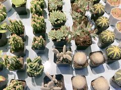 -百荣世贸商城