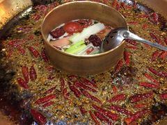 -蜀九香火锅(彩虹店)