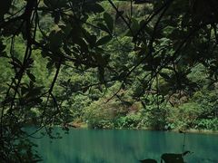 -紫云谷景区
