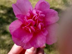 -艾溪湖湿地公园