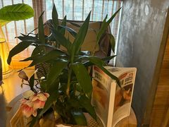 -施奈儿.洗头頭療.按摩SPA.采耳(上梅林店)