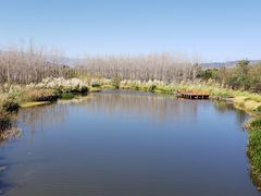 -西昌邛海湿地