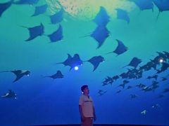 -南戴河国际娱乐中心