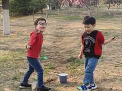 -永定河休闲森林公园