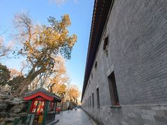 -恭王府博物馆