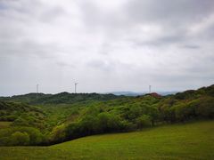 -关山草原