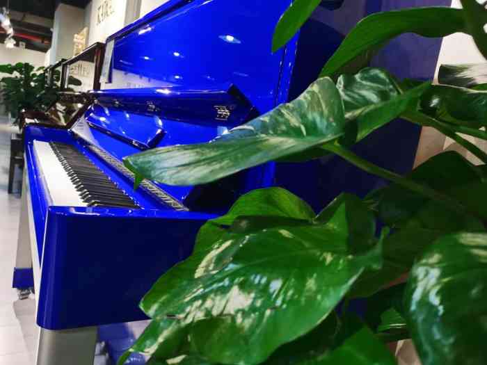 博加图琴行(环球贸易中心店)-"这边的位置还挺好找的,而且交通也是很