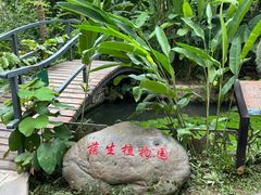 -中国科学院西双版纳热带植物园