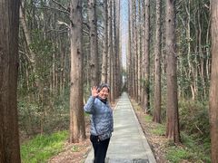 -同里国家湿地公园