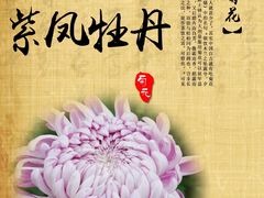 -小榄公饭店·岭南庭院餐厅(民安北路店)