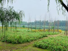-滨湖塘西河公园