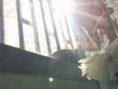 -COTTON CAFE(德信·中外公寓店)