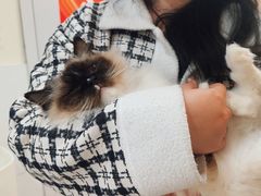 -共舞时光猫咖·狗咖(新街口店)