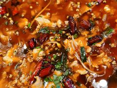 -乡土特色.冷锅鱼.牦牛肉汤锅