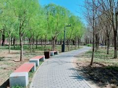 -东郊湿地公园