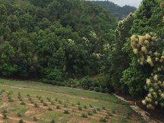 -梅州雁山湖国际花园度假区