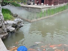 -檀园