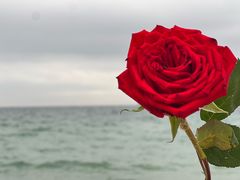 -玫瑰海岸文化旅游度假区