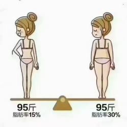 -Lily纤美·科技减脂中心