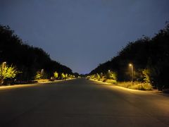 -汉长安城未央宫国家考古遗址公园