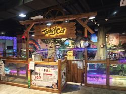 -卡通尼·Safari非洲探索乐园·生日会(金桥国际商业广场店)