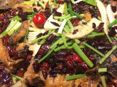 -老板恋上鱼(恒隆广场店)