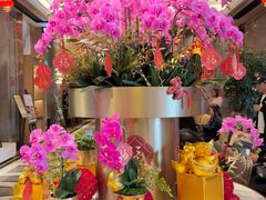 -金悦轩海鲜酒家(拱北店)