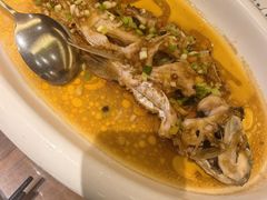 -龙悦湾酒家·八阵鱼生·渔人码头店