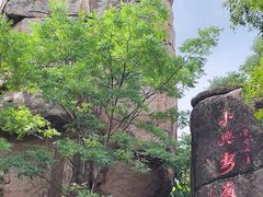 -汤旺河林海奇石景区