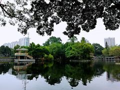 -晓港公园