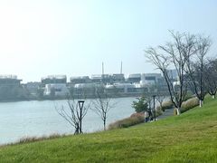 -羊山湖公园