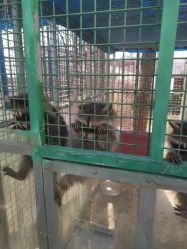 -萌宠亲子动物乐园(槐房万达店)