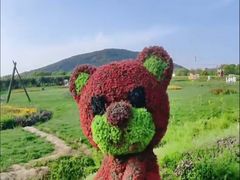 -苏州太湖西山岛开心农场