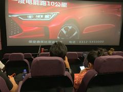 -保定金棕榈先天下国际影城(LUXE)