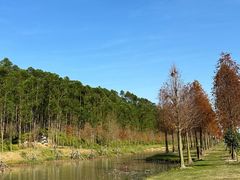 -露天矿生态公园