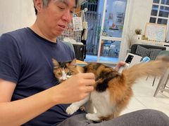 -玫瑰咖啡(中山六路店)