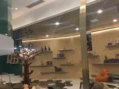 -飞行喵MR PILOT|猫舍·猫咖(静安大融城店)
