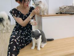 -李小姐の猫咖啡馆(五角场店)