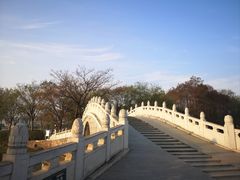 -月湖风景区