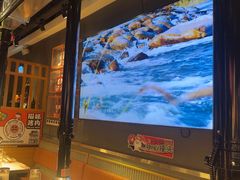 -猫抓烤肉(春熙路店)
