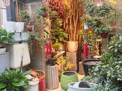 -武汉花鸟市场