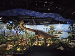 -陕西自然博物馆