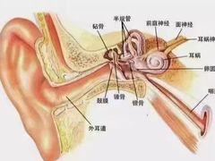 -自然之声助听器(平凉店)